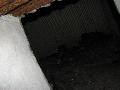 img 1748 img 1748