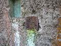 img 1772