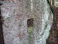 img 1773 img 1773