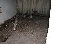 img 1782 img 1782