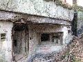 img 1824 img 1824