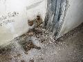img 1886 img 1886