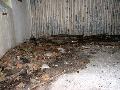 img 1889 img 1889