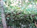 img 1549 img 1549