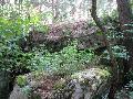 img 1550 img 1550