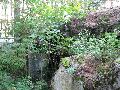img 1552 img 1552