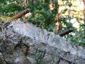 img 1559 img 1559
