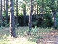 img 1564 img 1564