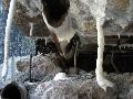img 1581 img 1581