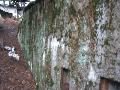 img 1619 img 1619