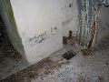 img 1623 img 1623