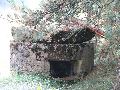 img 1696 img 1696