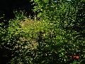 dsc01408 dsc01408