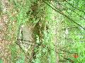 dsc01603 dsc01603