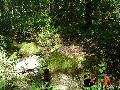 dsc01647 dsc01647
