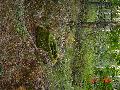 dsc01913 dsc01913