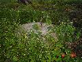 dsc01917 dsc01917