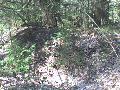 140156dsc00406 140156dsc00406