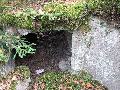 img 1925