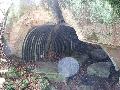 img 1961 img 1961