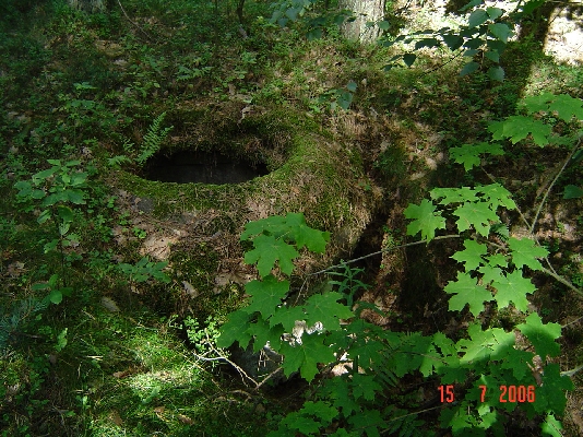 Trwa ładowanie zdjęcia...