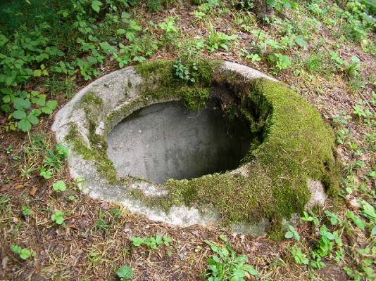 Trwa ładowanie zdjęcia...